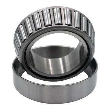 2.559 Inch | 65 Millimeter x 4.724 Inch | 120 Millimeter x 0.906 Inch | 23 Millimeter  CONSOLIDATED BEARING NJ-213E M C/3  Cylindrical Roller Bearings