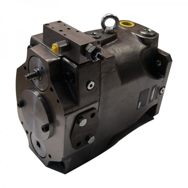 Vickers PV020L1K1JHNMR1+PV020L1L1T1NMR Piston Pump PV Series #1 image